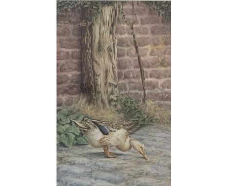 Andrew Charles Benfield (b1965) pair of artist signed limited edition coloured prints of poultry 24/500 35cm x 25cm with prin