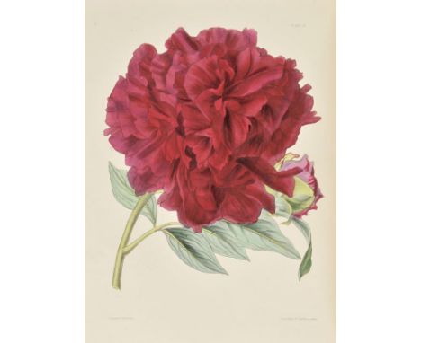 Paxton (Joseph & John Lindley). Paxton's Flower Garden, 3 vols., 1st ed., 1850-53, 108 fine hand-coloured lithographed plates