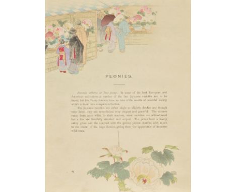 Japanese Plant Catalogue. Catalogue of Japanese Plants, Bulbs and Seeds, Yokohama: L. Boehmer & Co., [1903], decorative colou