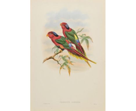 *Gould (John and Hart W.). Psitteuteles Placens, Psittacella Madaraszi, Charmosyna Margaritae [and] Charmosyna Josephinae, [1