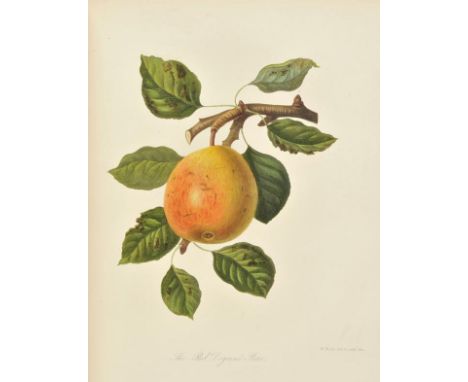 Horticultural Society of London. Transactions of the Horticultural Society of London, First Series, 7 volumes, 1820-30 & Seco