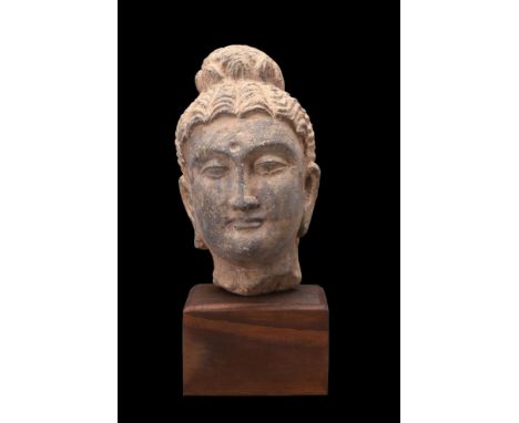 Ca. 200-400 AD.A schist stone head of a Buddha with closed, slightly smiling lips and full cheeks. He has long pendulous earl