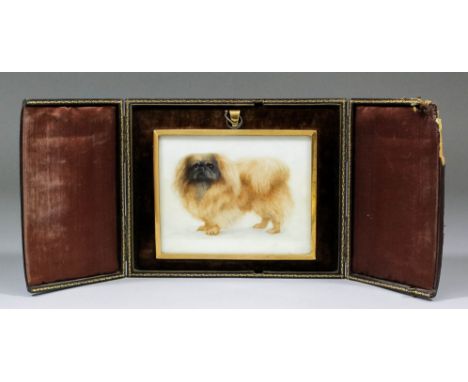 Late 19th/early 20th Century - Watercolour - Miniature portrait of a standing Pekingese, 3.75ins x 4.875ins, in gilt metal fr