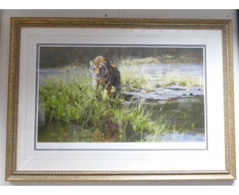 David Shepherd OBE born 1931: Framed Limited Edition Print The Bandipur Tiger, certificate to rear, 43cm x 71cm