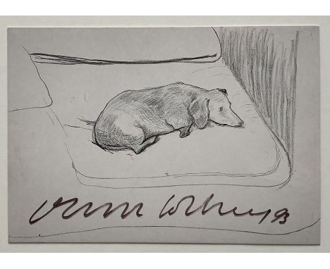 A postcard of a pencil drawing of a dog by David Hockney signed and dated 1993. Good condition, small crease and very small c