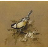 David Ord Kerr (born 1951), "The Great Tit", watercolour, signed and dated 1972 lower right, 17 x