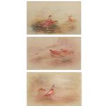 •AR James Stinton (1870-1961), Grouse, Partridge and Pheasants, group of 3 watercolours, all signed,