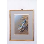 Terence James Bond (born 1946), "Pair of blue titmice", watercolour, signed and dated 73 lower