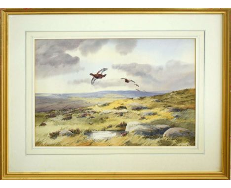 •AR Robert W Milliken (1920-2014), Grouse in Flight over Moorland, watercolour, signed lower right, 37 x 50cm.  Provenance: W