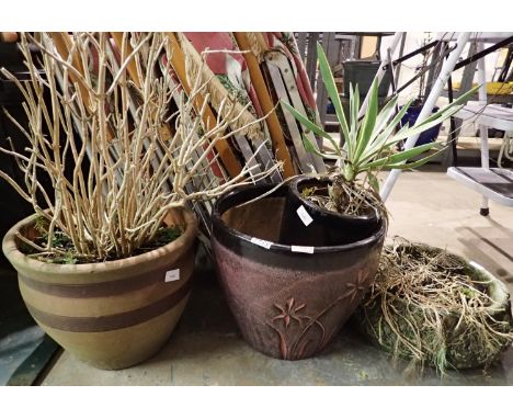 Four ceramic plant pots, largest H: 60 cm. Not available for in-house P&amp;P 