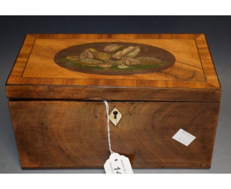 A George III mahogany crossbanded tea caddy, painted oval of seashells to lid