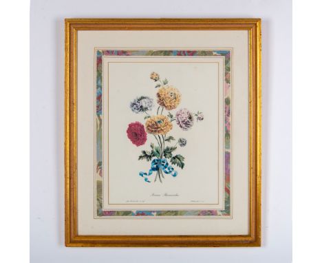 A color lithograph on paper after John Edwards engraving of his original drawing titled Persian Ranunculus from 1787. Printed