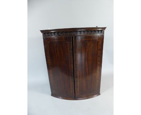 A 19th Century String Inlaid Mahogany Bow Fronted Corner Cabinet with Shaped Two Shelf Interior