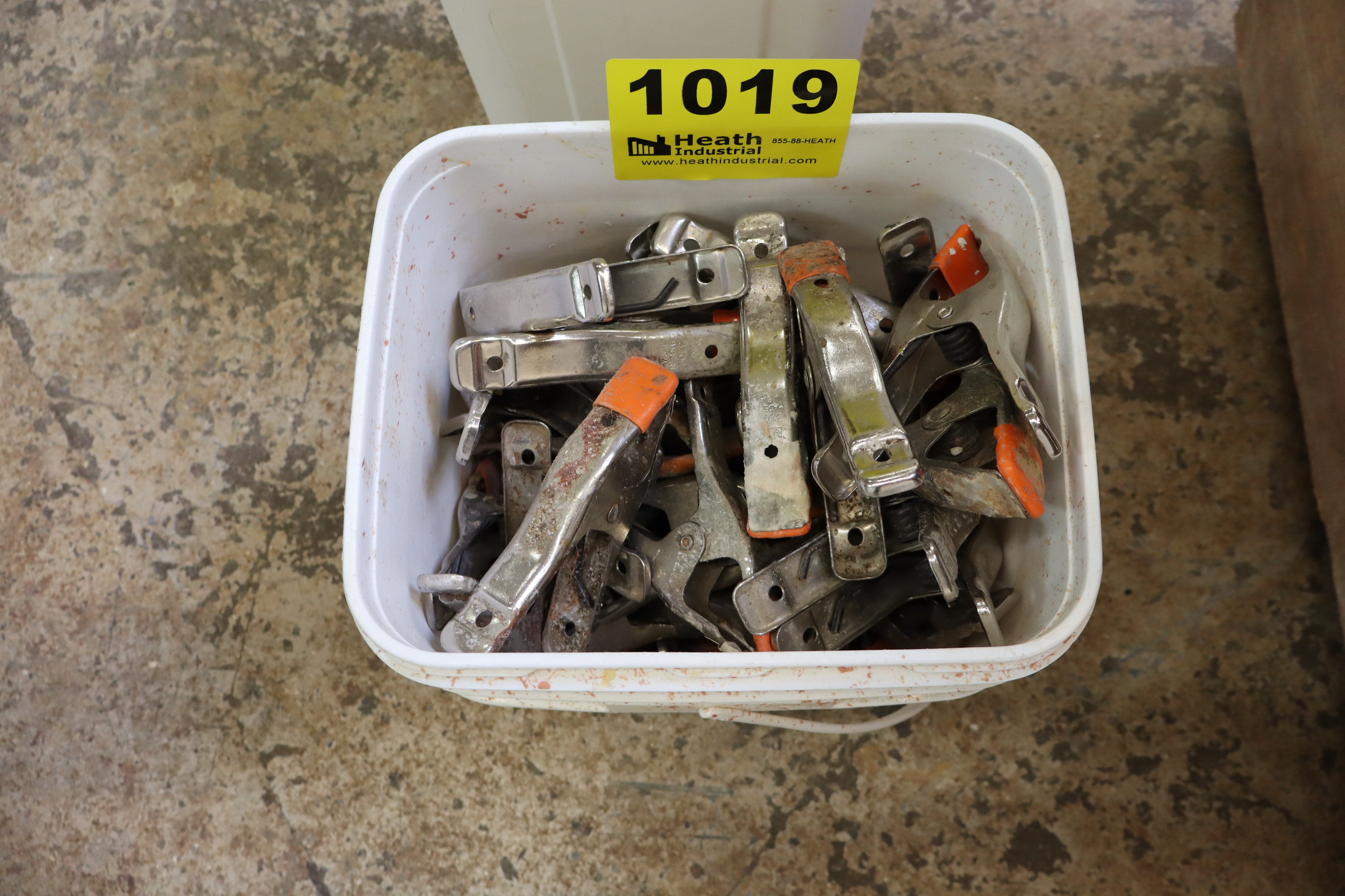 Lot 1019