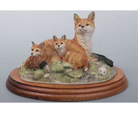 Border Fine Art, Foxes Family Portrait B0038