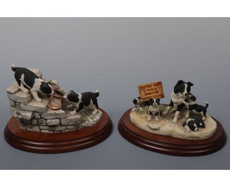 Two Border Fine Art, Tug of War and Hightop Farm Collies
