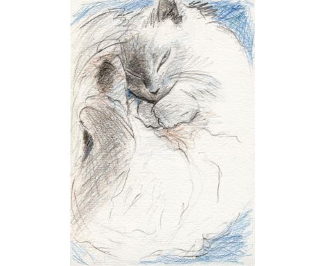 
	
		Claire Houlihan
		Fluffy Cat
		Pencil on paper
		Signed on Verso
		10 x 15cm (3&#190; x 5&#190; in.)
		
		This lot has b