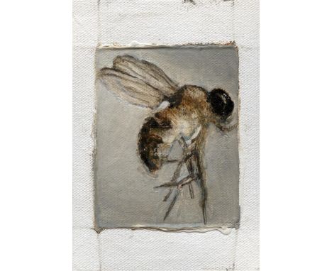 
	
		Tomas Harker
		Drosophila Hydei, 2023
		Oil on canvas
		Signed on Verso
		10 x 15cm (3&#190; x 5&#190; in.)
		
		This lo