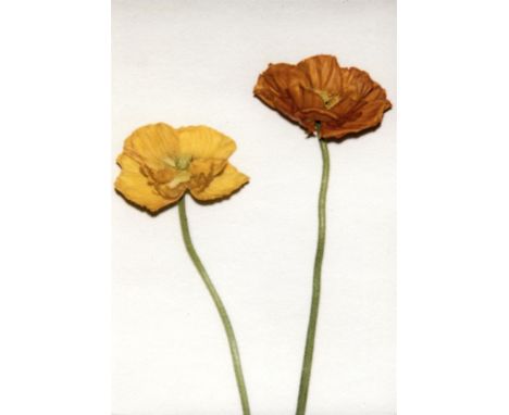 Clay Arlington Untitled 1 Pigment print on paper Signed on Verso 10 x 15cm (3¾ x 5¾ in.)  This lot has been curated by Franki
