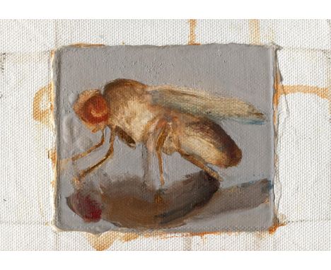 
	
		Tomas Harker
		Drosophila
		Oil on canvas
		Signed on Verso
		10 x 15cm (3&#190; x 5&#190; in.)
		
		This lot has been c