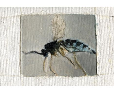 
	
		Tomas Harker
		Sciaridae, 2023
		Oil on canvas
		Signed on Verso
		10 x 15cm (3&#190; x 5&#190; in.)
		
		This lot has b