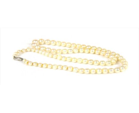 A single stone graduated cultured pearl necklace, by Ciro of Bond Street, 3.8 to 7.2mm in size, strung to a 9ct white gold ba