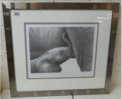 Signed L/E print by Gary Hodges - Baby African elephant suckling 