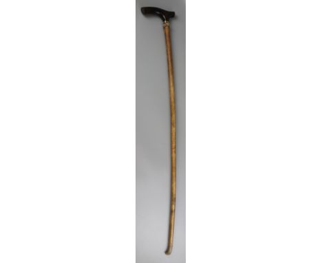 Unusual walking stick with bendy shaft