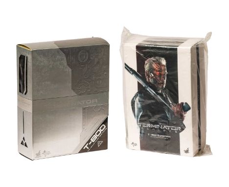 A Terminator Hot Toys T-800 1:6 scale figure, MMS136, in original box, together with a Terminator Genisys T-800 Guardian 1:6 