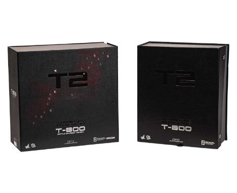 A Terminator Hot Toys T2 T-800 1:6 scale figure, DX10, in original box with outer carton, together with T2 T-800 Battle Damag