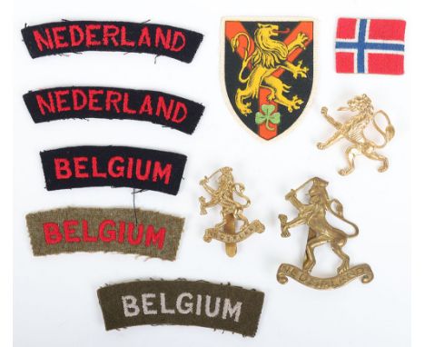 Grouping of WW2 Allied Army in Exile Badges and Insignia, consisting of various cap badges for Netherlands and Belgium troops