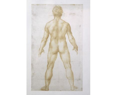 Leonardo da Vinci. Anatomical print. Framed and glazed. H.43 x W.33 cm. 