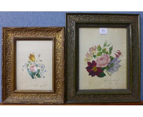 Two 19th Century botanical watercolours, framed
