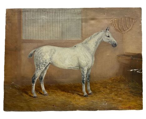 William Henderson of Whitby (British 1844-1904): 'Twilight' - Portrait of a Dapple Grey Hunter Horse in Stable, oil on canvas