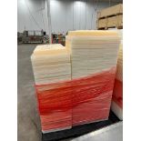 SKID OF SHALLOW PLASTIC TRAYS