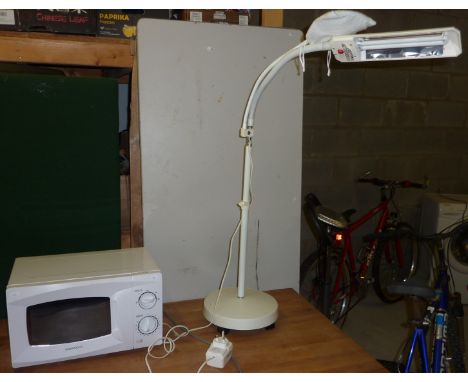 Microwave and lamp
