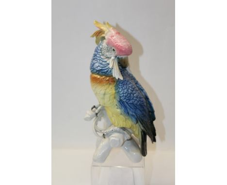 Large Karl Ens porcelain model of a cockatoo, 34cm high   CONDITION REPORT  Very good condition, no chips or cracks