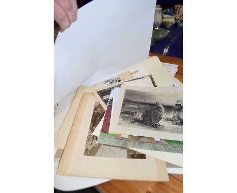 A folder of various prints, watercolours etc to include E Whymper, print after Archibald Thorburn, vintage photographs etc