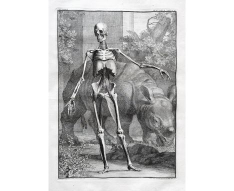 ALBINUS, B.S. Tabulae sceleti et musculorum corporis humani. Leyden, J. &amp; H. Verbeek, 1747/1753. 2 vols. (48) lvs., engr.