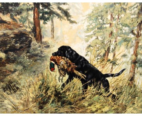 HENRY WILKINSON (1921 - 2011)Labrador retrieving pheasantSigned, oil on canvas, 49cm x 65cm.   ARR   Condition Report  Frame 