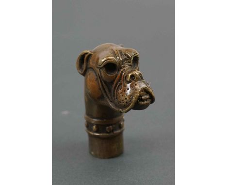 A walking stick handle in the form of a Boxer dog head 