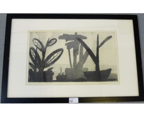 Edwardo Vilches  Plantas  Pencil signed screen print No.17/20, framed, 60 x 40cm