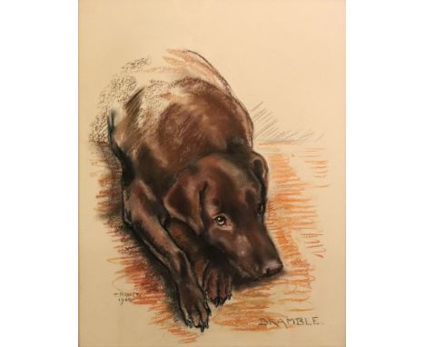 Truda Panet, 20th Century, A portrait of a labrador 'Bramble' signed and dated 'T Panet 1966' (lower left), pastel, 56 x 46cm