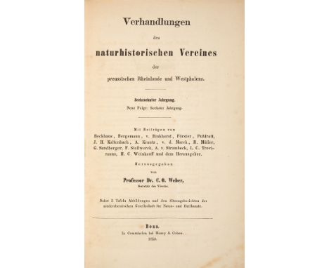 Fuhlrott, Johann Carl: Menschliche Ueberreste aus einer Felsengrotte des Düsselthals. Ein Beitrag zur Frage über die Existenz