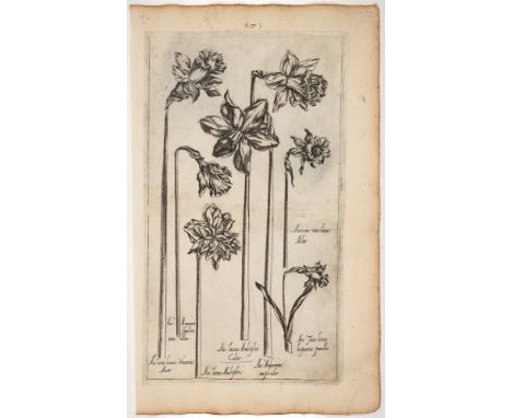 PIERRE VALLETLe Jardin du Roy tres chrestien Henry IV, Roy de France et de Navare, dedie a la Royne. (Paris): 1608.Gesamte Ku