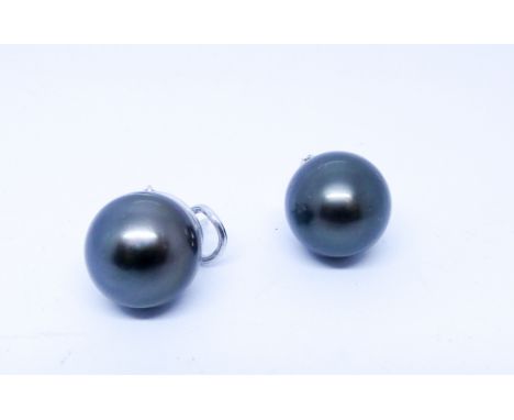 Pair of grey south sea cultured pearl earrings, 14 mm diameter pearl set in 18ct white gold post and safety clip fittings 
