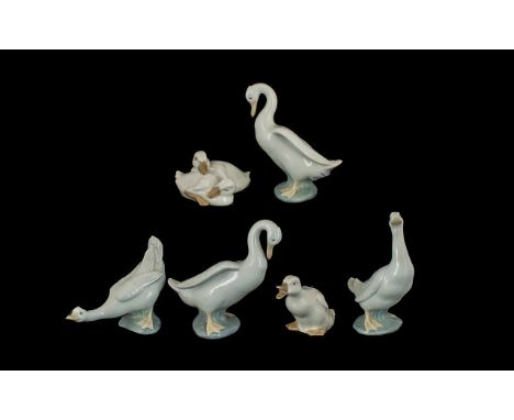 Collection Of Six Nao Figures To Include Various Geese And Ducks, All Marked To Base, Tallest 6 Inches. Large Goose has Small