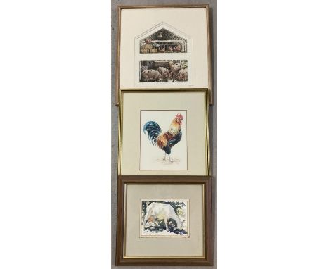3 framed &amp; glazed pictures of farmyard animals. Comprising: a signed watercolour of a Maltese Goat by local artist Alan B