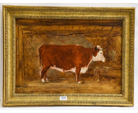 Circle of Boultbee (19th century) Study of a Heifer standing in a stable, oil on panel, 38.5cm by 58.5cmProvenance: Oscar and