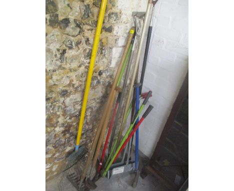 A selection of gardening tools 